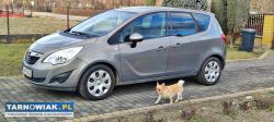Opel meriva 1.4 benzyna - Obrazek 1