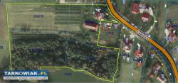 Siedlisko w Ryglicach 1,9 ha - dom piętrowy 120 m2 - Obrazek 3