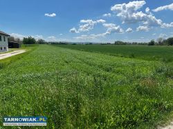 Duża działka WZ w trakcie gm. Wierzchosławice - Obrazek 1