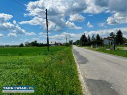 Duża działka WZ w trakcie gm. Wierzchosławice - Obrazek 2