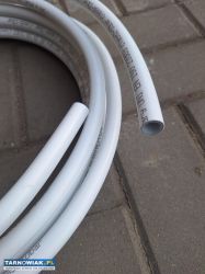 Pex al pex - Obrazek 2