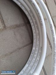 Pex al pex - Obrazek 3