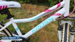 Rower 20 Kross Rica rama 11 cali bdb stan - Obrazek 2
