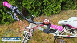 Rower 20 Kross Rica rama 11 cali bdb stan - Obrazek 3