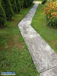 Zlecę renowację chodnika betonowego - Obrazek 1
