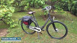 Rower sparta - Obrazek 1