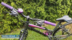Rower 28 Kands STV100 Crossowy alu rama 17 cali - Obrazek 3