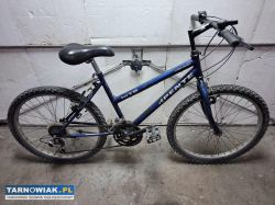 Rower - Obrazek 1