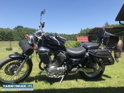 Yamaha Virago 535 - Obrazek 4