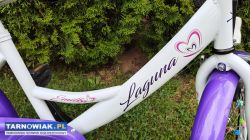 Rower 20 Kands Emilka rama 12,5 cala damka bdbStan - Obrazek 2