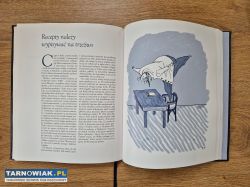 Jubileuszowy kalendarz aptekarski 2012 nowy - Obrazek 2