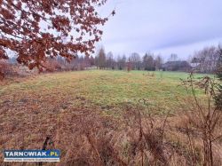 Zaborów - 44 ary, działka pod zabudowę i usługi. - Obrazek 2