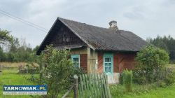 Mościce kupie mieszkanie lub niewielki dom - Obrazek 1