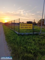 wynajmę plac w miejscowości Ładna gmina Skrzyszów - Obrazek 1