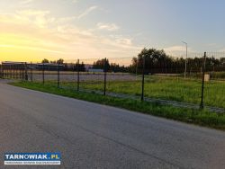 wynajmę plac w miejscowości Ładna gmina Skrzyszów - Obrazek 2
