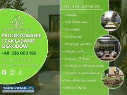 Zakładanie Trawników/Ogrodów - Obrazek 1