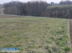 Szynwałd, budowlana, 12 ar - Obrazek 4
