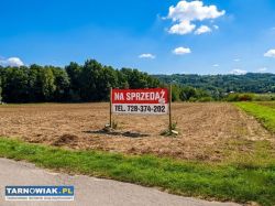 Duża działka - budowlana- obok Tuchowa - Obrazek 1