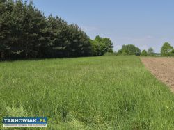 Dom z dużą działką i stawem – Strzelce Wielkie - Obrazek 3