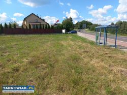 Zabłędza 15,7 ara – zjazd dw977, media, 5860 zł/ar - Obrazek 1