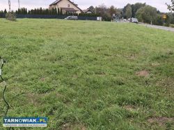 Zabłędza 15,7 ara – zjazd dw977, media, 5860 zł/ar - Obrazek 2