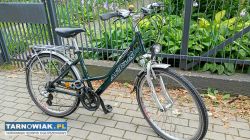Rower Damka 26cali ARKUS Clasic - Obrazek 1