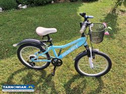 Rower Romet 20 - Obrazek 1