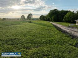 Na sprzedaż 2 działki w Tarnowie ul. H. Marusarz - Obrazek 3