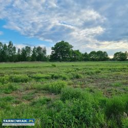 Na sprzedaż 2 działki w Tarnowie ul. H. Marusarz - Obrazek 4