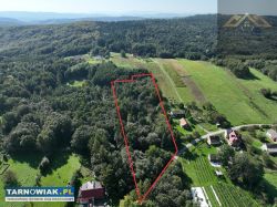 Działka z prywatnym lasem 1,34 ha Milówka, Wojnicz - Obrazek 2
