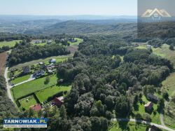 Działka z prywatnym lasem 1,34 ha Milówka, Wojnicz - Obrazek 1