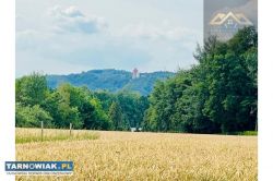 Działka budowlana z widokiem na Zamek w Melsztynie - Obrazek 1