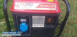 Agregat prądotwórczy jednofazowy 1200W 230 V / 12 - Obrazek 1