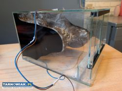 Terarium z oświetleniem i ścianka - Obrazek 1