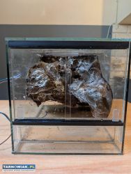 Terarium z oświetleniem i ścianka - Obrazek 2