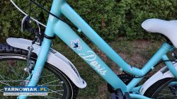 Rower 20 Kands Doris rama 13 cali bdb stan sprawny - Obrazek 2