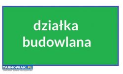 Pawęzów  7 arów i 9,5 araów - Obrazek 1
