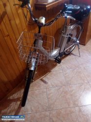 Rower elektryczny - Obrazek 2