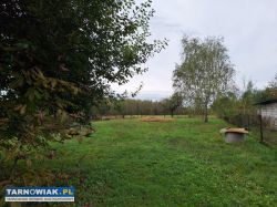 Wierzchosławice - murowany dom na dużej działce - Obrazek 3