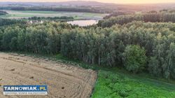 Działka bezpośrednio przy Zalewie Skrzyszowskim - Obrazek 2