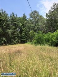 Działka zagrodowa z WZ własnym stawem – 37 arów - Obrazek 3