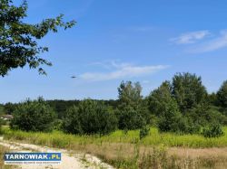 Działka budowlana 90 ar w Skrzynce, gmina Szczucin - Obrazek 1