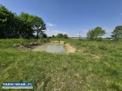 Dom z dużą działką i stawem – Strzelce Wielkie - Obrazek 4