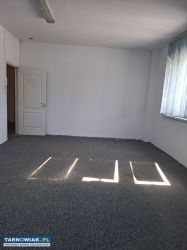 Lokal do wynajęcia - Obrazek 1