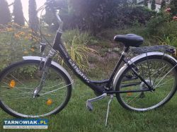 Rower trekingowe miejski - Obrazek 1