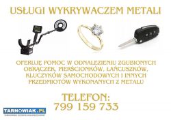 Usługi wykrywaczem metali - Obrazek 1