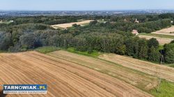 Działka budowlano-zagrodowa 37,75 a Poręba Radlna - Obrazek 3
