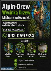 Wycinka drzew przycinanie koron pielęgnacja drzew - Obrazek 1