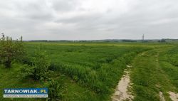Działka budowlana z WZ – Łęg Tarnowski - Obrazek 1