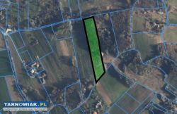 Las z działką rolną Janowice - Obrazek 2